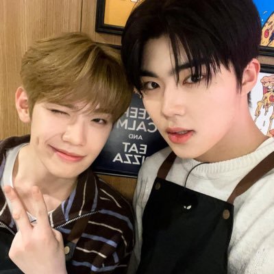tgv_zip's profile picture