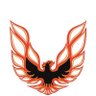 Jakester455's profile picture