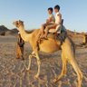 الحمدلله 的头像