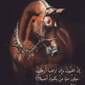 mousa's profile picture