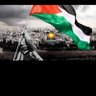 السيد العربي 的头像