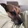 Profilbild von MRG