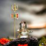 Profilbild von Abhijit Goswami