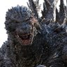 Profilbild von GodzillaKillsAll