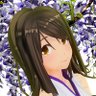 Profilbild von 藤原はるこ🍇(ストップ鷹)