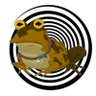 Hypnotoad 的头像