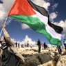 Yousef 🇵🇸🏳️🌈🍉🐝's profile picture