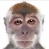 leon profil fotoğrafı