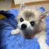 Profilbild von 千佳