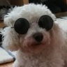Jian's profile picture