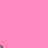 thePINKtruth🫣's profile picture