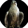 عاصف صقر's profile picture