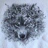 Profilbild von Alexi_Wild_COB