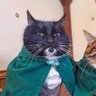 ᕕ(ᐛ)ᕗ profil fotoğrafı