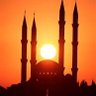 واحد من اهل مصر profil fotoğrafı