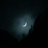 Profilbild von MoonGirl