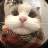 Profilbild von 4ndy