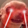 Manbearbull's profile picture