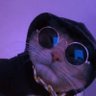 Jovem V's profile picture