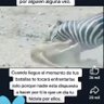 Antonio Vargas 的头像