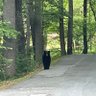 Фото профиля RealTalkGolf