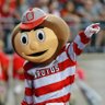 Nomadic Buckeye's profile picture