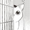 ゆっち 的头像
