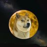 Profilbild von Lucky Akate