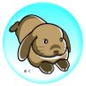 むくっちゃん profil fotoğrafı