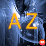 Abdalmajed zaki 的头像