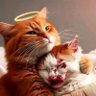 Фото профиля Amici animali