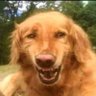 Your Minions's profile picture