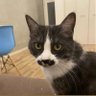 そういち's profile picture