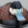 Ducky 🇬🇧 🇺🇦's profile picture