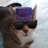 Profilbild von Charlie & Helen