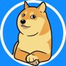 Kabosu profil fotoğrafı