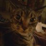 Profilbild von Elijah Smith
