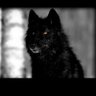 ⓂⓄⓈⓉⒶⒻⒶ _ ⓄⓇⒶ 🇸🇩's profile picture