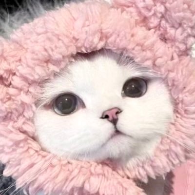 휴지's profile picture
