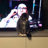 Joyce profil fotoğrafı