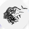 شعور كاتب . 的头像