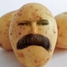 Kominist patates's profile picture