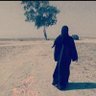 بنت نجد's profile picture