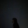 Profilbild von تميم