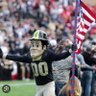 Peter Purdue's profile picture