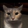 Profilbild von Jack