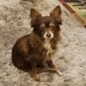 marilyn's profile picture