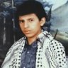 هجرس الظلام's profile picture