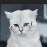 Hys's profile picture