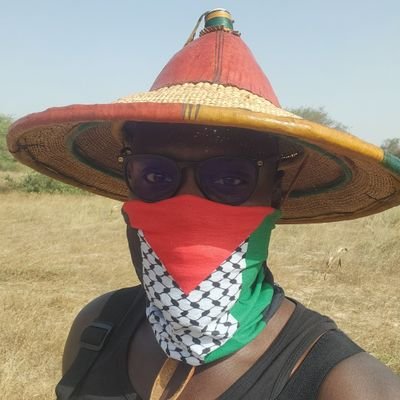 🇸🇳 Al Seneghali 🇵🇸 🇨🇩's profile picture